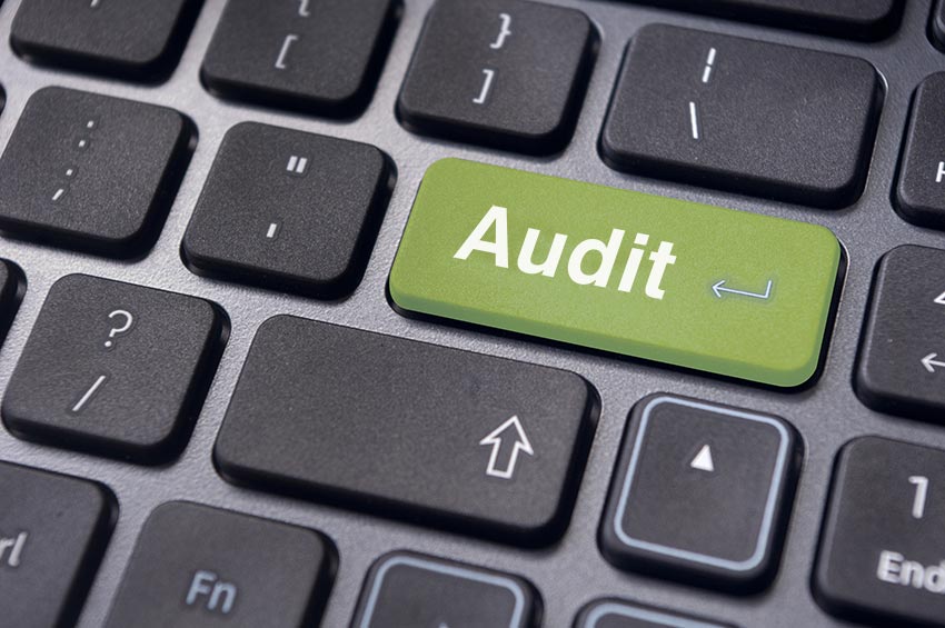 The Future of Auditing